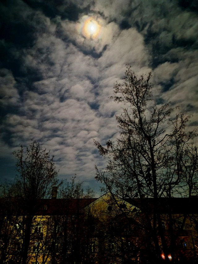 Красота