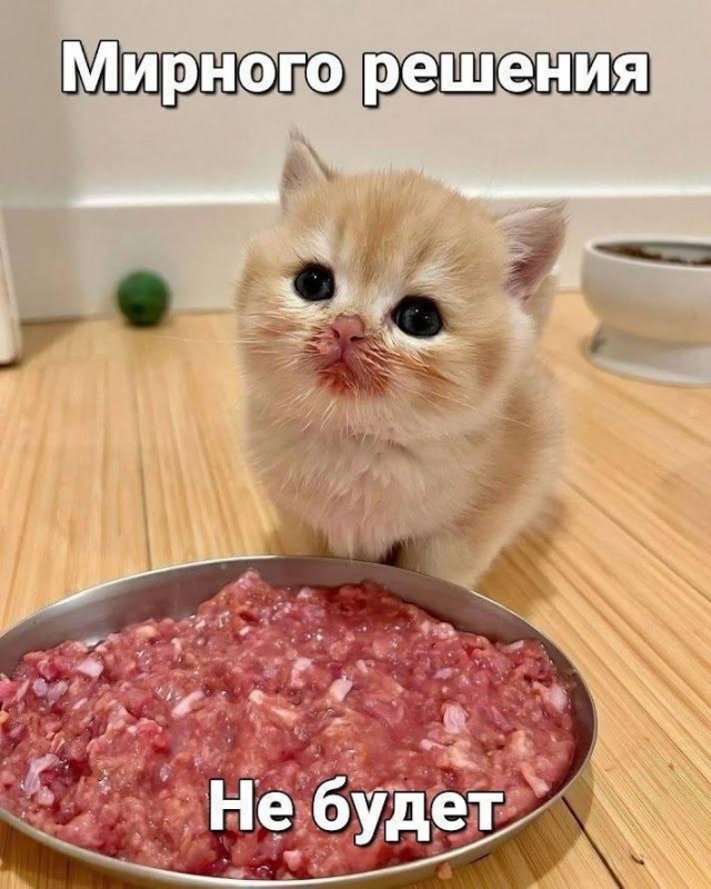 Среды картинки