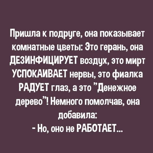Так себе картинки 05.12.25