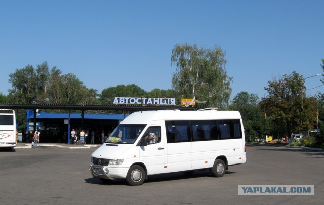 Автобусы будущего