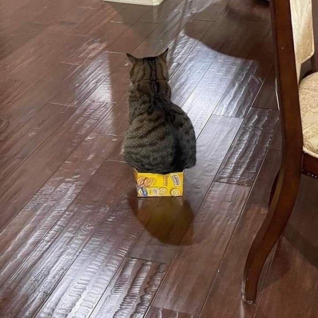 Котокоробковое