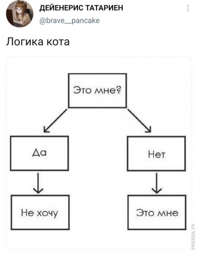 Веселые картинки в понедельник (16.02)