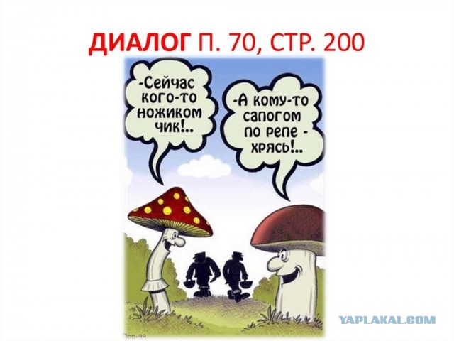 Радиоактивные изотопы Чернобыльской катастрофы обнаружили на грибах в Финляндии