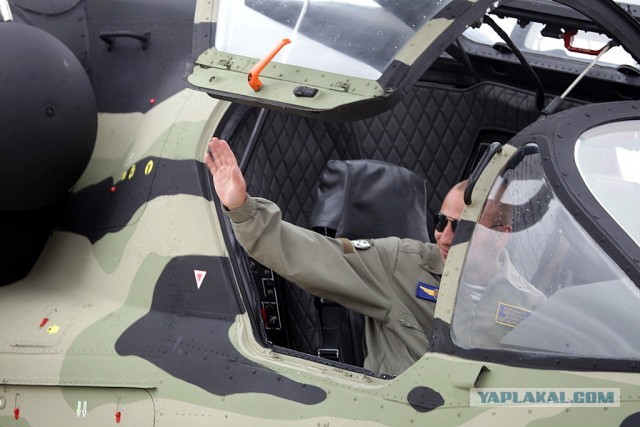 А вы говорите Аллигаторы не летают