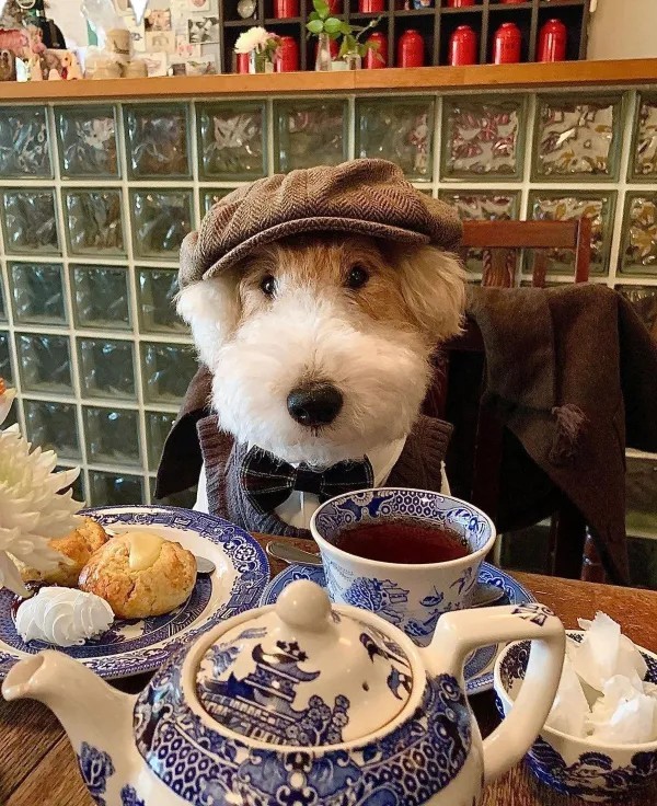 Забавные и интересные фото из Сети 23.04.26