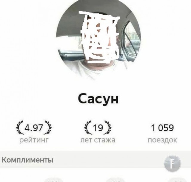 Собаки, которые никому не нужны