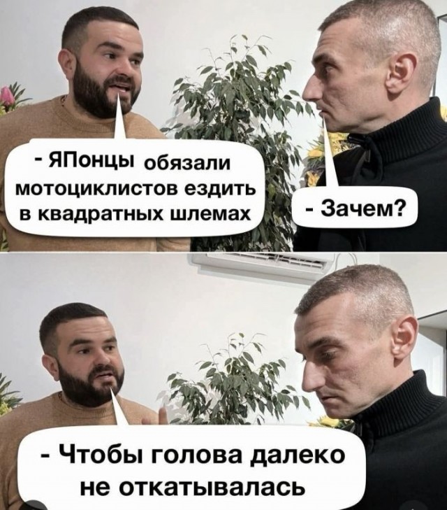 Картинки для деградации 207 (разной степени свежести)