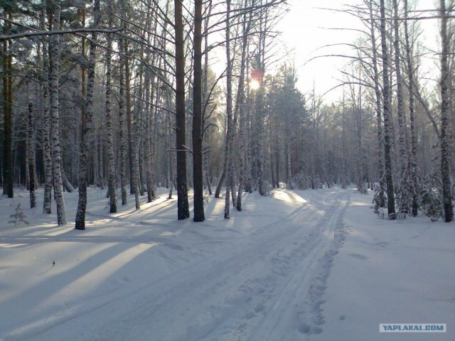 Русская зима