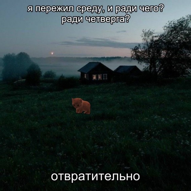 Картинки для деградации 239 (разной степени свежести)