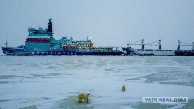 Мурманск принял первый контейнеровоз из Китая, пришедший по Северному морскому пути