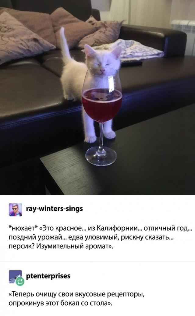 Так себе картинки 25.08.26