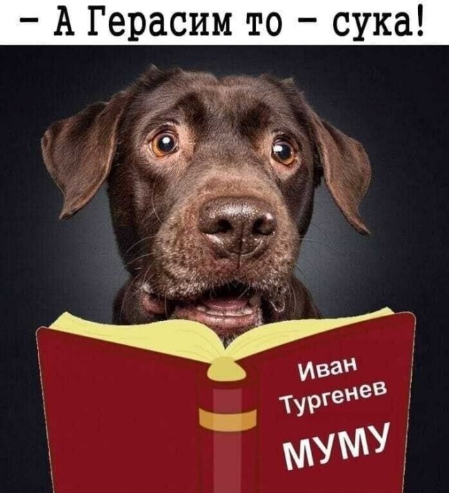 Картинки для деградации 269 (разной степени свежести)