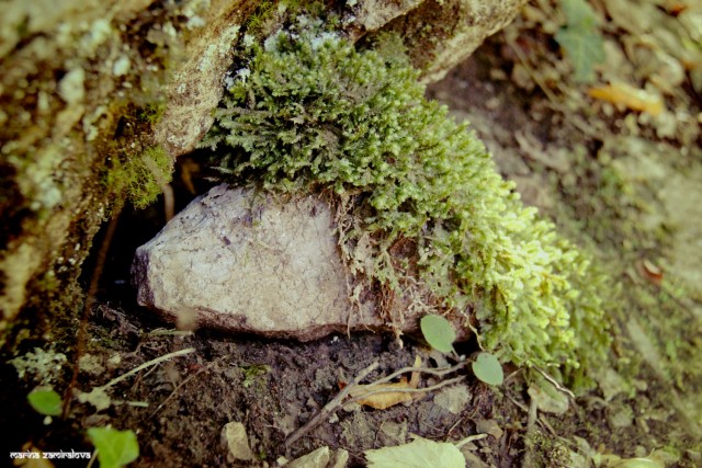 Крым: Судак и окрестности