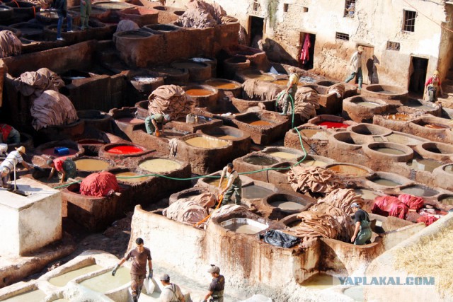 Новогодняя ночь в пустыне Сахара