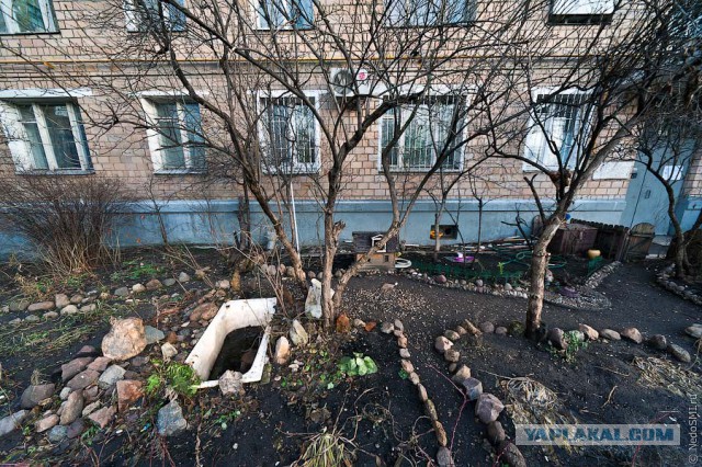 Это Россия детка!