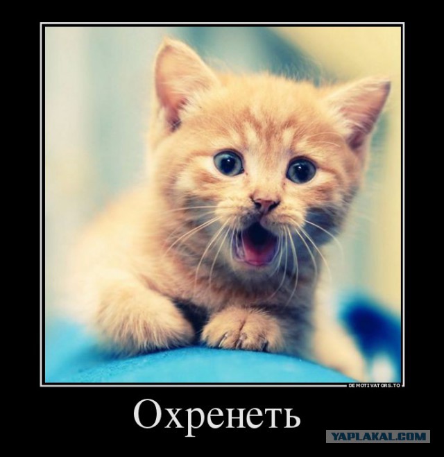 Я у мамы дурачёк...