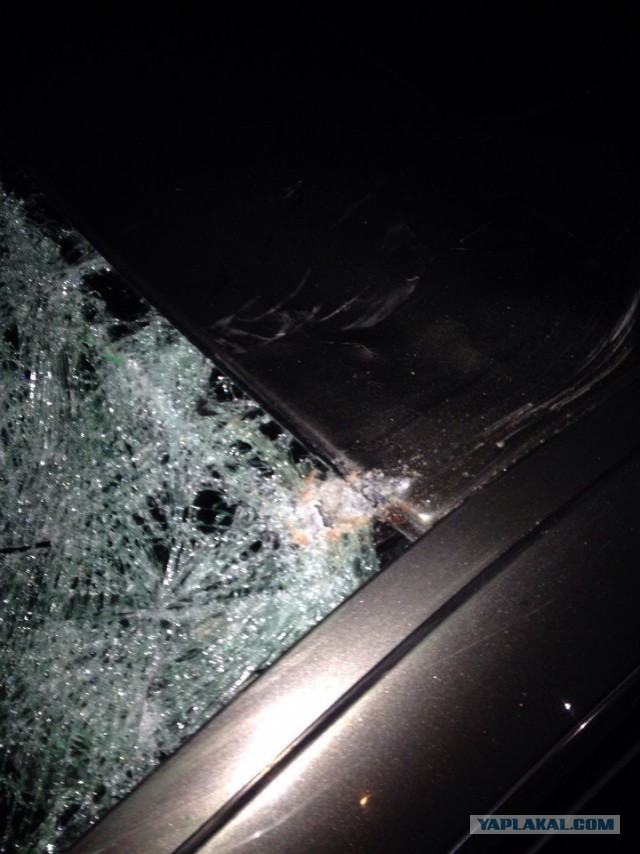 блатные на мерседесе