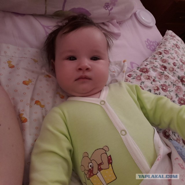 Последнее фото с Вашего телефона.