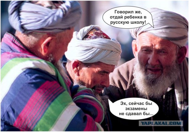 Тест: Смогли бы вы получить разрешение на работу
