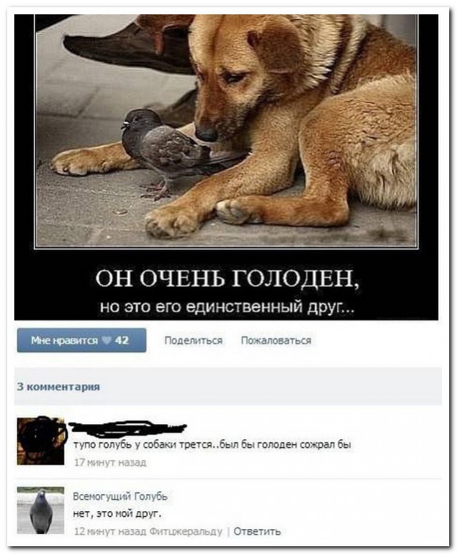 Смешные комментарии из социальных сетей