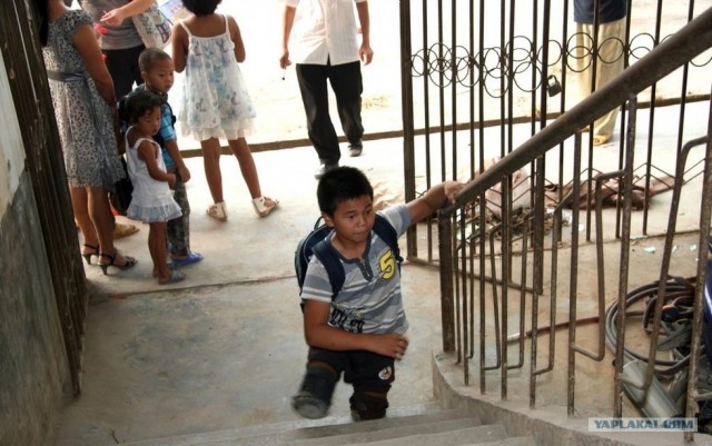 В 1 класс на коленях