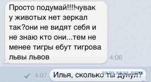 А ведь правда!