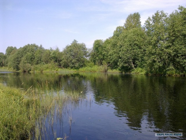 Небольшая дверь в Лето!