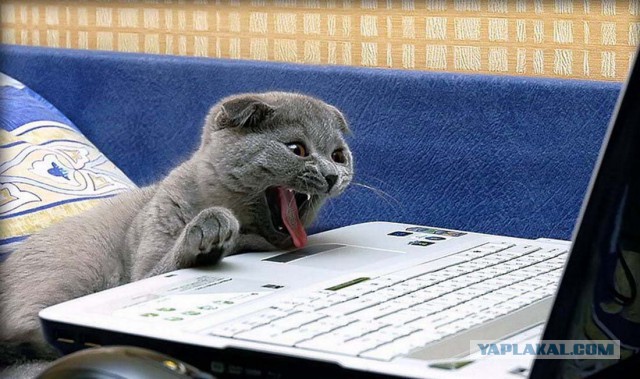 Настало время постинга