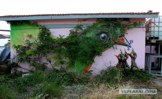 Граффити стрит-арт художников HoodGraff в Санкт-Петербурге