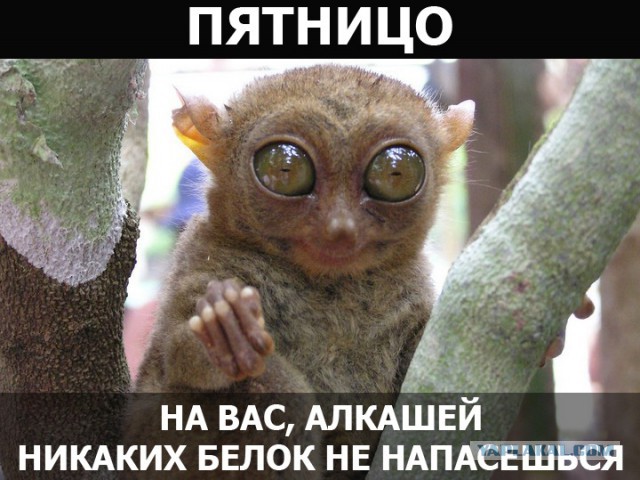 Картинки на пятницу
