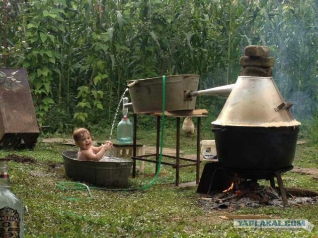 Где Клуб Любителей Алкоголя?
