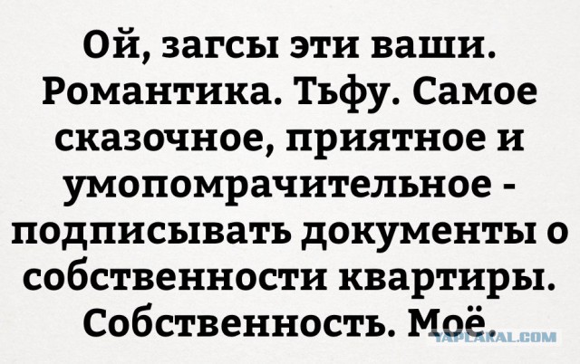 Смешные комментарии из социальных сетей 28.10.2016