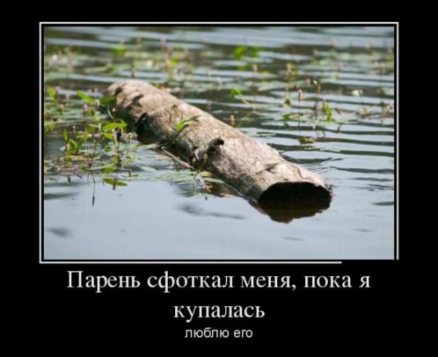 Как расколоть полено с помощью перочинного ножика?