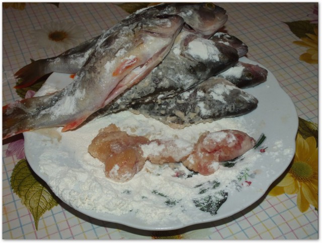 Охота на окуня.