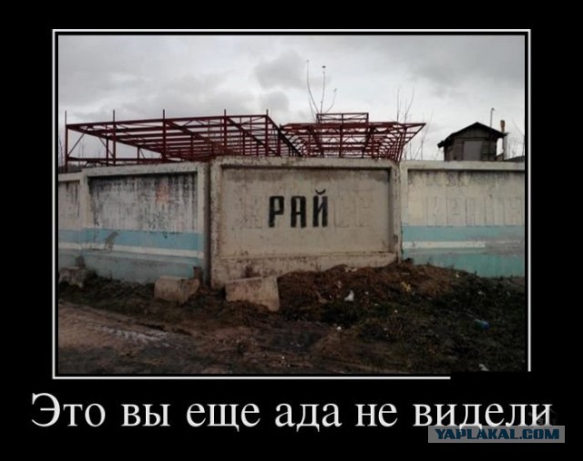 Веселая подборка демотиваторов