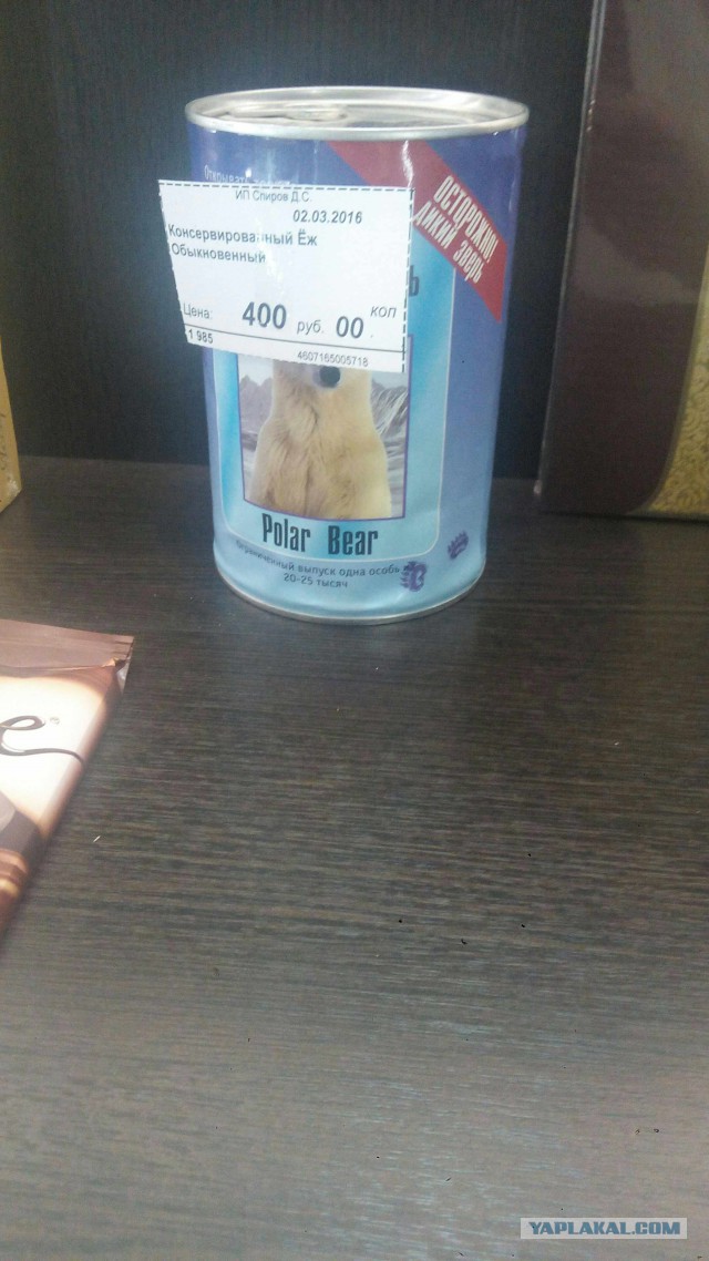 Дизайнерские провалы