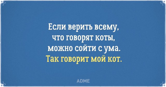 Кошачий ангел