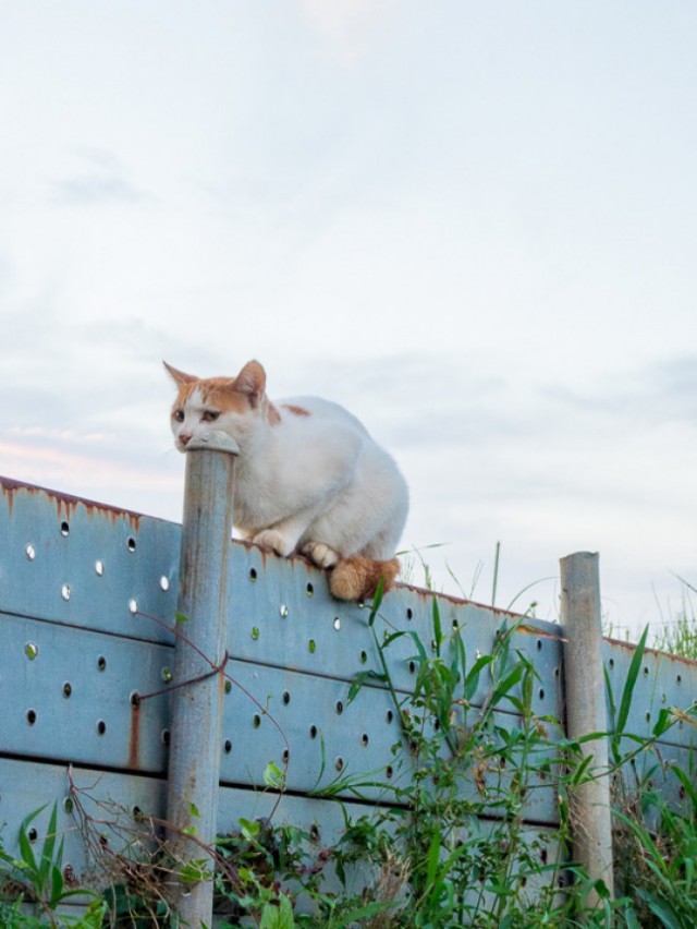 Фото, которые были созданы, чтобы сломать наш мозг