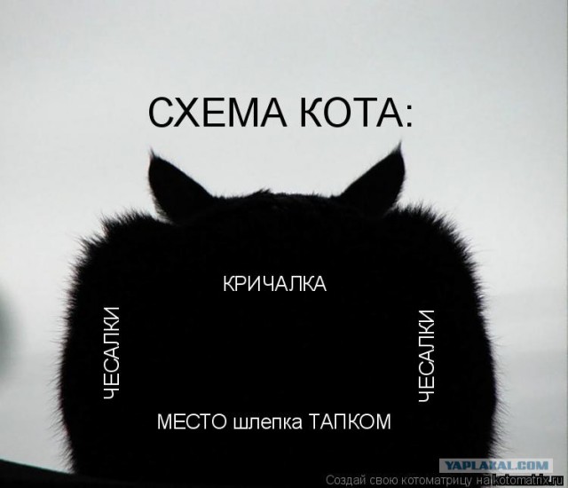 Эпитафия по Плаза