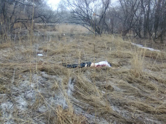 Вертолет Ми-8 упал на одну из улиц Хабаровска