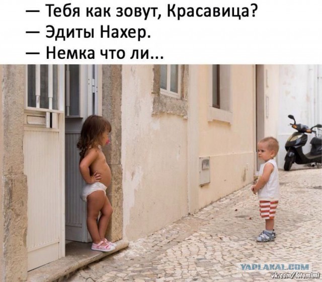 Скотсети и прочие интернеты 23.04.18
