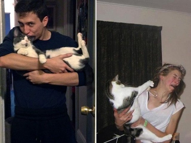 Не все котики любят обнимашки