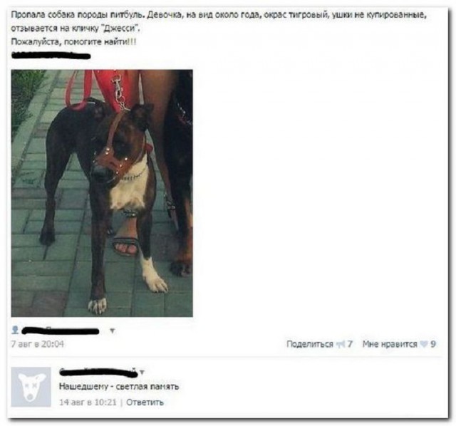 Прикольные комментарии и высказывания из Сети