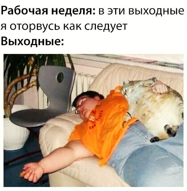 Нестандартный юмор