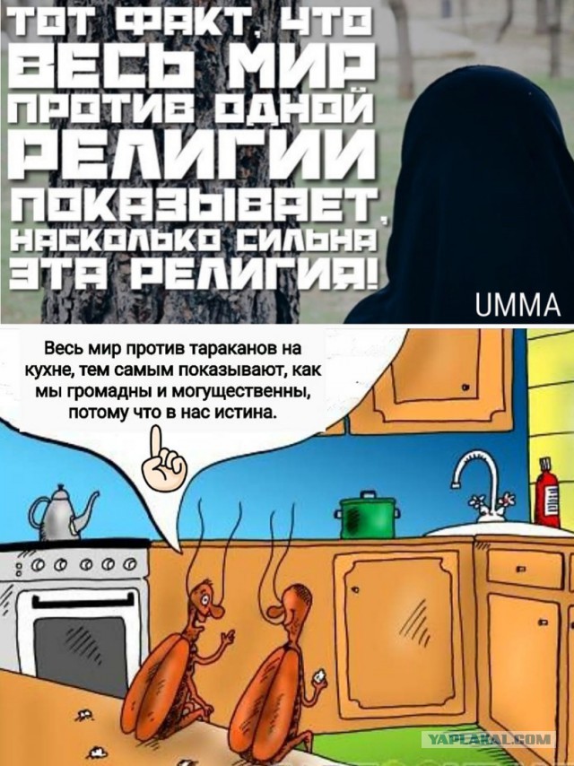 Картинок всяких разных пост