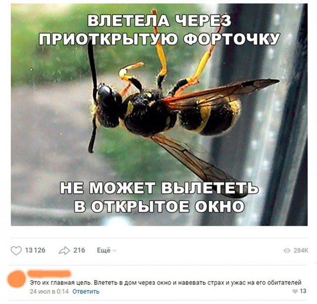Прикольные картинки абавсём