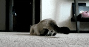 Секундочку...