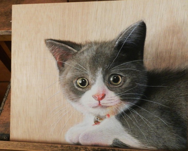 Рисованные киски