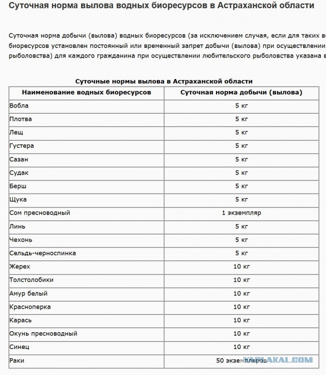 Астраханцы возмущены видео с 201 сазаном на «хвосте»