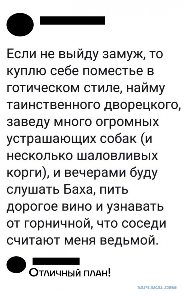 Современная успешная женщина